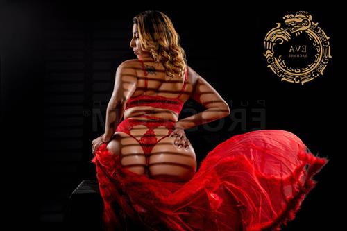 Escort Model Cayla, Ashburton - 2561