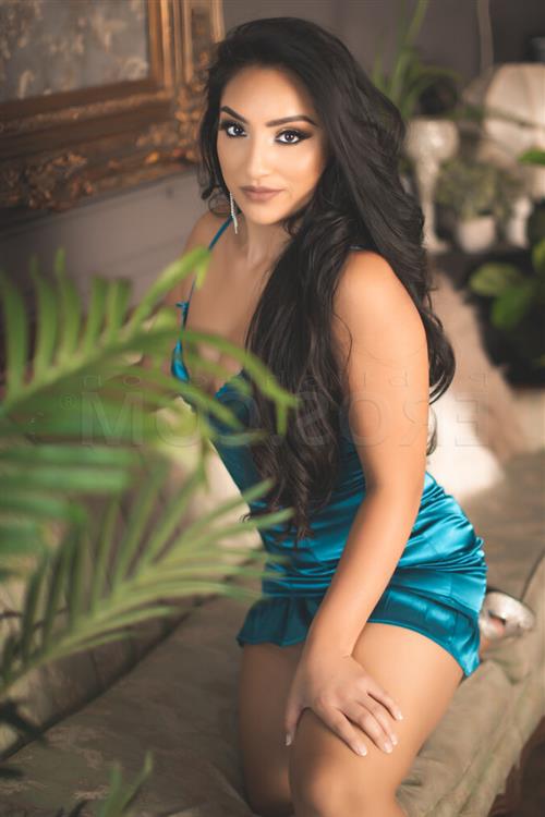 Damyanova, escort in Avondale - 1296