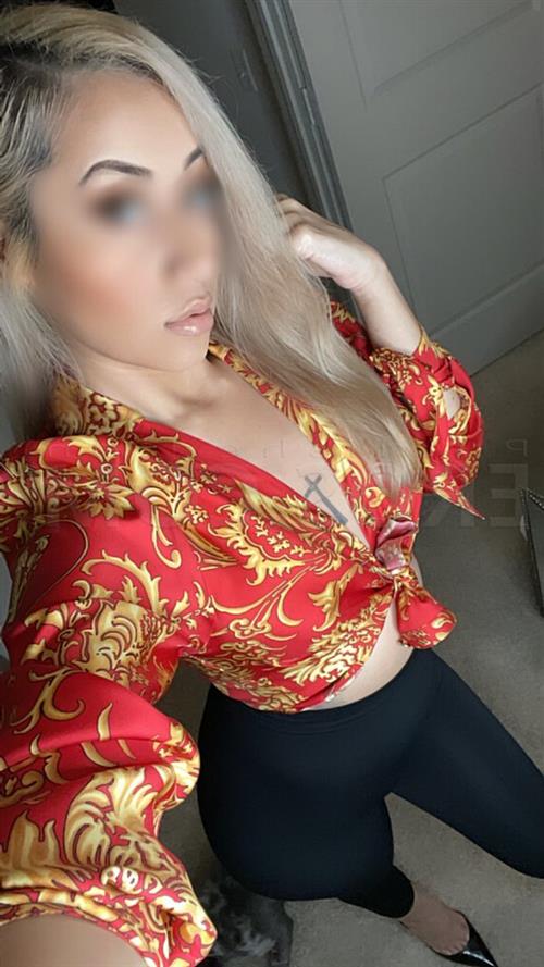 Escort Model Melodic, Lower Hutt - 15672