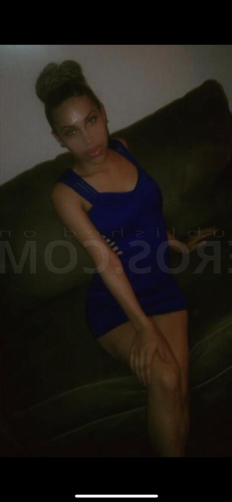 Escort Palmgren, Newmarket - 6998