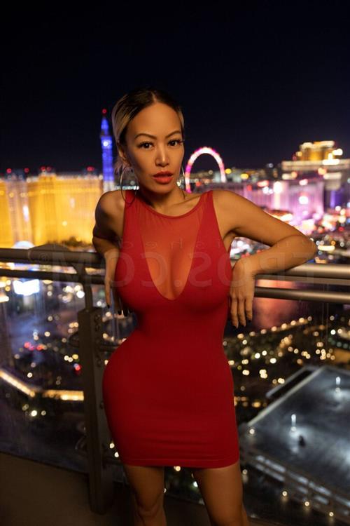 Escort Model Wilma Jennifer, Sandringham - 5916